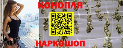 гашик Лесосибирск