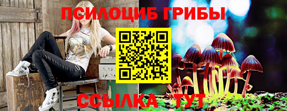Карталы  Псилоцибиновые грибы GOLDEN TEACHER  сколько стоит  Вход с VPN 
